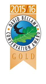 2011-13 Gold